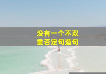 没有一个不双重否定句造句