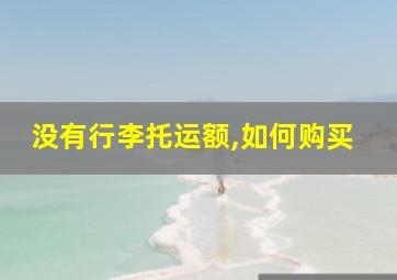 没有行李托运额,如何购买