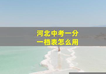 河北中考一分一档表怎么用