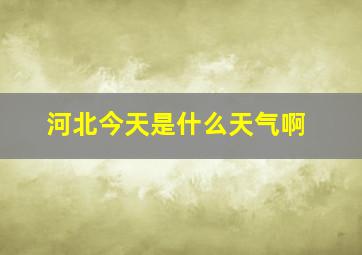 河北今天是什么天气啊