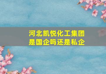 河北凯悦化工集团是国企吗还是私企