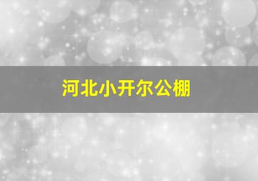 河北小开尔公棚