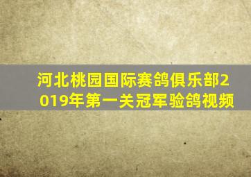 河北桃园国际赛鸽俱乐部2019年第一关冠军验鸽视频