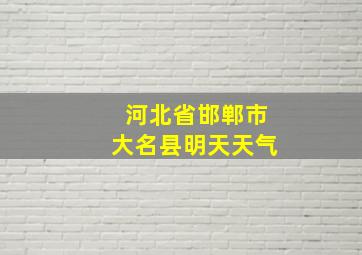 河北省邯郸市大名县明天天气