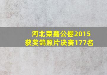 河北荣鑫公棚2015获奖鸽照片决赛177名