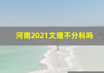 河南2021文理不分科吗