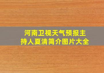 河南卫视天气预报主持人夏清简介图片大全