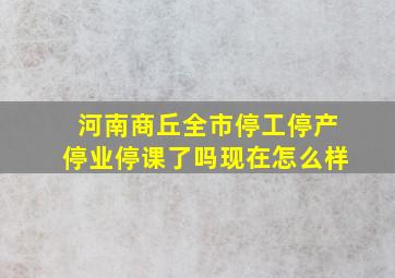 河南商丘全市停工停产停业停课了吗现在怎么样