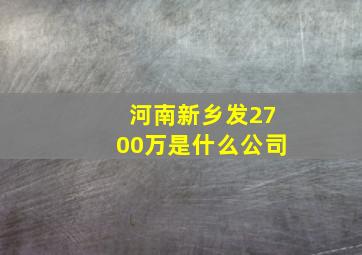 河南新乡发2700万是什么公司