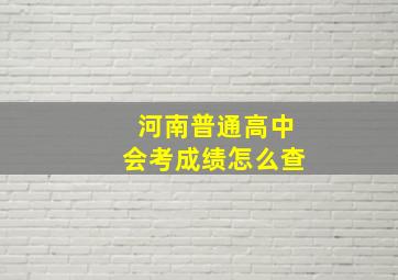 河南普通高中会考成绩怎么查