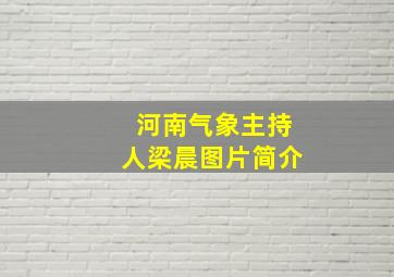 河南气象主持人梁晨图片简介