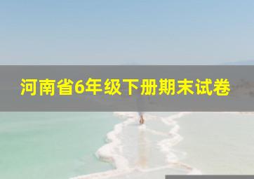 河南省6年级下册期末试卷