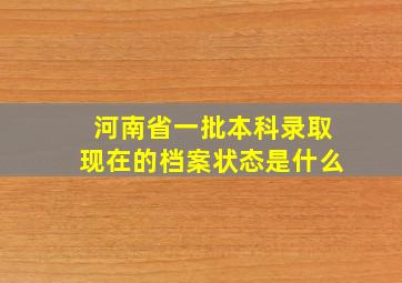 河南省一批本科录取现在的档案状态是什么