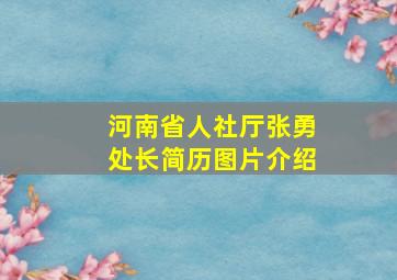 河南省人社厅张勇处长简历图片介绍