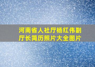 河南省人社厅杨红伟副厅长简历照片大全图片