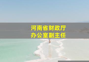 河南省财政厅办公室副主任