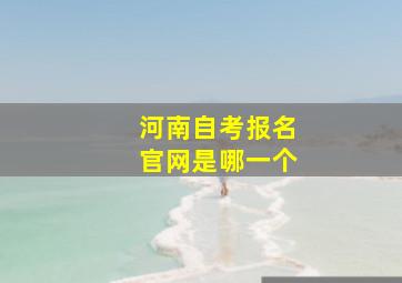 河南自考报名官网是哪一个