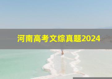 河南高考文综真题2024