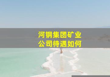 河钢集团矿业公司待遇如何