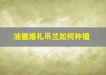 油画婚礼吊兰如何种植