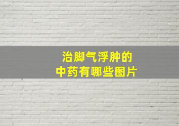 治脚气浮肿的中药有哪些图片