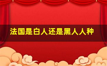 法国是白人还是黑人人种