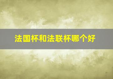 法国杯和法联杯哪个好