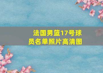 法国男篮17号球员名单照片高清图