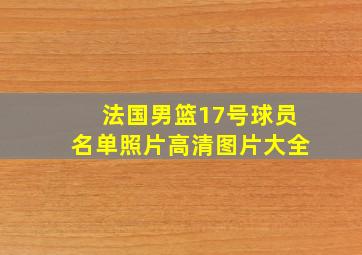 法国男篮17号球员名单照片高清图片大全