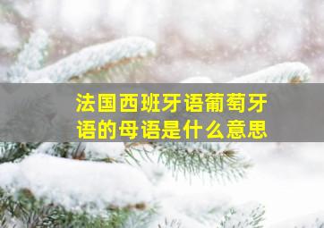 法国西班牙语葡萄牙语的母语是什么意思