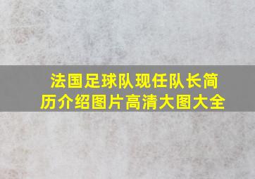 法国足球队现任队长简历介绍图片高清大图大全