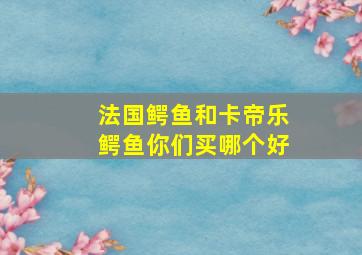 法国鳄鱼和卡帝乐鳄鱼你们买哪个好