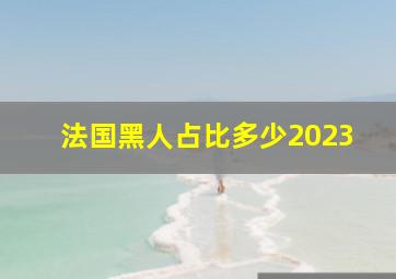 法国黑人占比多少2023