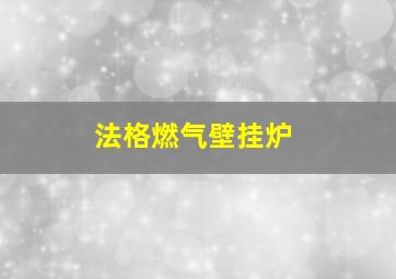 法格燃气壁挂炉