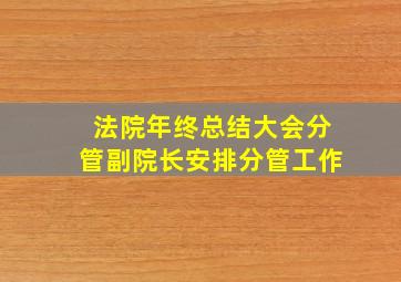 法院年终总结大会分管副院长安排分管工作