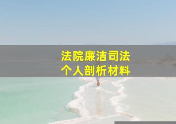 法院廉洁司法个人剖析材料