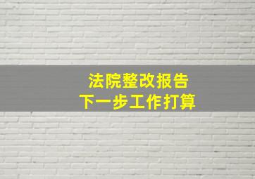 法院整改报告下一步工作打算