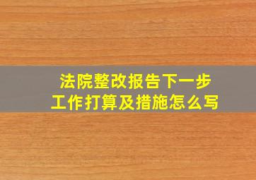 法院整改报告下一步工作打算及措施怎么写