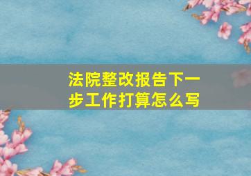 法院整改报告下一步工作打算怎么写