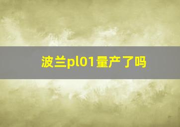 波兰pl01量产了吗