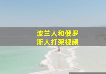 波兰人和俄罗斯人打架视频