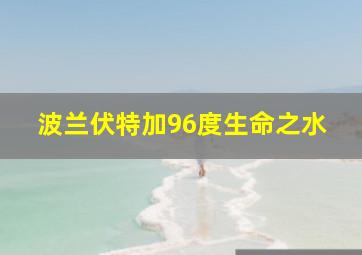 波兰伏特加96度生命之水