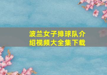 波兰女子排球队介绍视频大全集下载