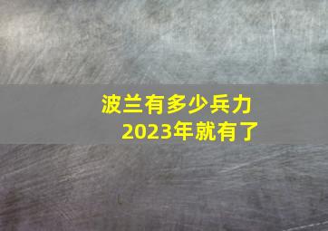 波兰有多少兵力2023年就有了