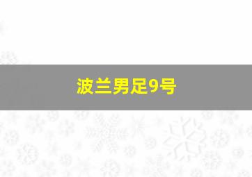 波兰男足9号