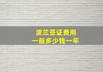 波兰签证费用一般多少钱一年