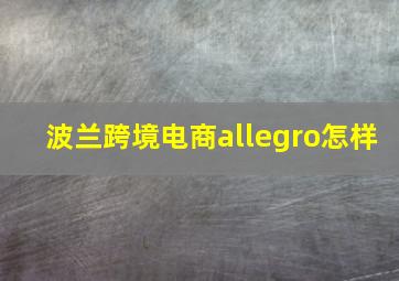 波兰跨境电商allegro怎样