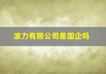 波力有限公司是国企吗