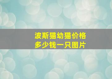 波斯猫幼猫价格多少钱一只图片