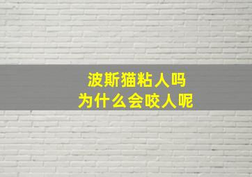 波斯猫粘人吗为什么会咬人呢